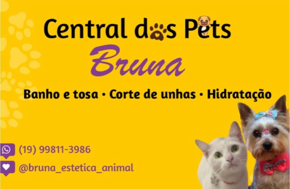 CENTRAL PETS